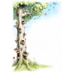 Kroniky beskydských draků - Tajemství ztracené kroniky – Zboží Mobilmania