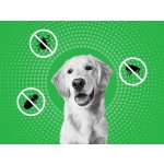Frontline Combo Spot-On Dog XL 40-60 kg 3 x 4,02 ml – Zboží Mobilmania