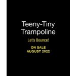 Teeny-Tiny Trampoline: Let's Bounce! Thomas MolliePaperback – Zboží Dáma