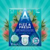 Astonish Fizz & Fresh aktivní tablety do WC Eukalyptus 8 ks