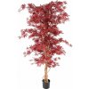 Květina Luxusní umělý strom ARALIA MAPLE, 190cm