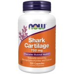 NOW Foods Shark Cartilage 750 mg 100 kapslí – Hledejceny.cz