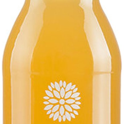 Vigo kombucha original 330 ml – Zboží Dáma