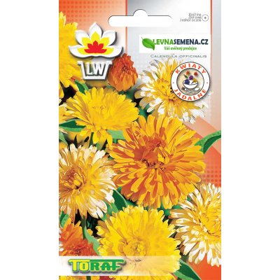 MĚSÍČEK LÉKAŘSKÝ - Calendula officinaliss /300 SEMEN/