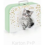 Karton P+P Kočka 34 cm – Zboží Mobilmania