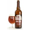 Pivo Ogar Amber Ale 13° 5,8% 0,75 l (pet)