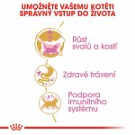 Royal Canin British Shorthair Kitten 0,4 kg – Zboží Mobilmania