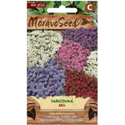 MoravoSeed Tařicovka přímořská, směs 02459