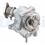 AGR-Ventil Delphi EG10527-12B1 – Hledejceny.cz