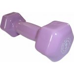 Ariana Jednoručka Vinyl Dumbell 2kg – Zboží Mobilmania
