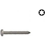 Šroub DIN 7981C nerez A2 6,3x70 Torx – Hledejceny.cz