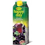 Rauch Happy Day černý rybíz 1 l – Zboží Dáma