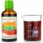 Lnice kapky Duše rostlin tinktura 50 ml – Hledejceny.cz
