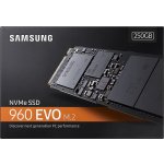 Samsung 960 EVO NVMe M.2 250 GB, MZ-V6E250BW – Zboží Živě
