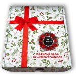 LEROS SADA BYLINKOVÉ VÁNOCE 20 x 2 g – Zboží Dáma