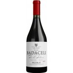 Cal Grau Clos Badaceli suché červené 2018 15,5% 0,75 l (holá láhev) – Hledejceny.cz