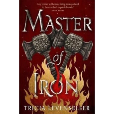 Master of Iron – Hledejceny.cz