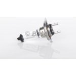 Bosch Plus H7 PX26d 12V 55W | Zboží Auto