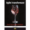 Agilní transformace