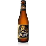 Roman Adriaen Tripel 19 9% 0,33 l (sklo) – Hledejceny.cz