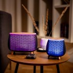TrueLife AIR Diffuser D4 Aroma difuzér – Zboží Dáma