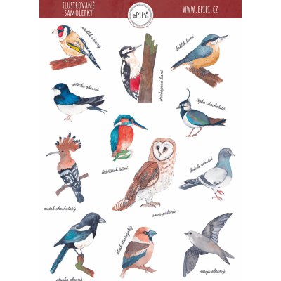 ePipí Arch samolepek Ptáci A6 12 samolepek – Sleviste.cz