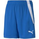 Puma Team Liga Junior