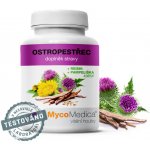 Mycomedica Ostropestřec 2 x 90 kapslí – Hledejceny.cz