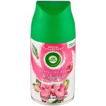 Air Wick Freshmatic Růžový sekt a maliny náhradní náplň 250 ml – Hledejceny.cz