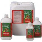 Advanced Hydroponics Growth/Bloom Excellerator 250 ml – Hledejceny.cz