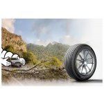 Michelin Primacy 4 205/55 R17 91V | Zboží Auto