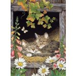 Cobble Hill Sisters 500 dílků – Sleviste.cz