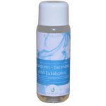 CHEMOFORM Eukalyptus 250 ml – HobbyKompas.cz