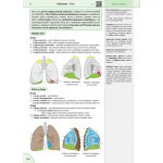 Memorix anatomie - 6. české vydání – Zboží Dáma Memorix anatomie - 6. české vydání – Zboží Dáma