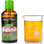 Bylinné kapky Kaštanovník tinktura z pupenů gemmoterapie 50 ml – Hledejceny.cz