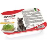 N&D Ancestral Grain Adult Mini Lamb & Blueberry 7 kg – Zbozi.Blesk.cz