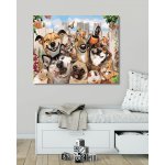 Zuty Malování podle čísel VESELÁ ZVÍŘATA – Zboží Dáma