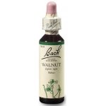 Dr. Bach Walnut Vlašský ořech 20 ml – Hledejceny.cz