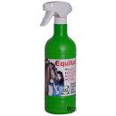 Equilux rychločistič srsti 750 ml