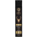 Natura Siberica Men Line šampon proti lupům Síla sibiřského jelena 250 ml – Hledejceny.cz