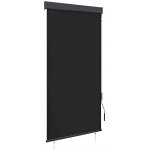 VidaXL Venkovní roleta, 100 x 250 cm, antracitová – Sleviste.cz