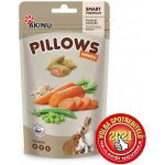 Akinu Pillows polštářky mrkev Hlodavec 40 g – Sleviste.cz