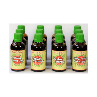 Netopýr max sada tinktur, Buhnerův protokol, bylinné kapky tinktury 12 x 50 ml – Hledejceny.cz