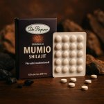 Dr.Popov Mumio 200 mg 60 tablet – Hledejceny.cz