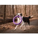 CoLLaR Výcvikové kruhy pro psy PULLER Standard 28/4 cm 2 ks – Hledejceny.cz