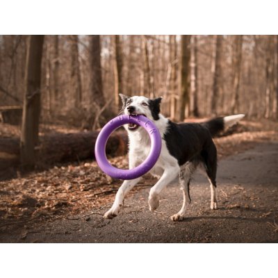 CoLLaR Výcvikové kruhy pro psy PULLER Standard 28/4 cm 2 ks – Hledejceny.cz