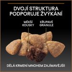 Purina Pro Plan Duo Délice Medium & Large Adult Beef 10 kg – Sleviste.cz