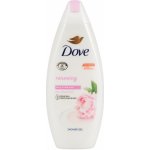 Dove Purely Pampering Smetana & pivoňka sprchový krém 250 ml – Hledejceny.cz