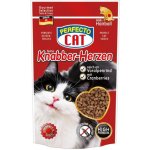 Perfecto Cat Feine Knabber-Snack s Alpským šťavnatým Hovězím Anti-Hairball 50 g – Zbozi.Blesk.cz