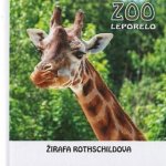 Zoo - lepolero – Zbozi.Blesk.cz